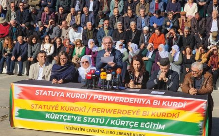 Diyarbakır’da 750 kurumdan açıklama: ‘Kürtçe resmen tanınmalı’
