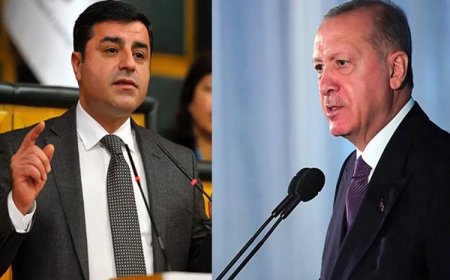Arınç duyurdu: Demirtaş, Erdoğan’la görüşmek istiyor