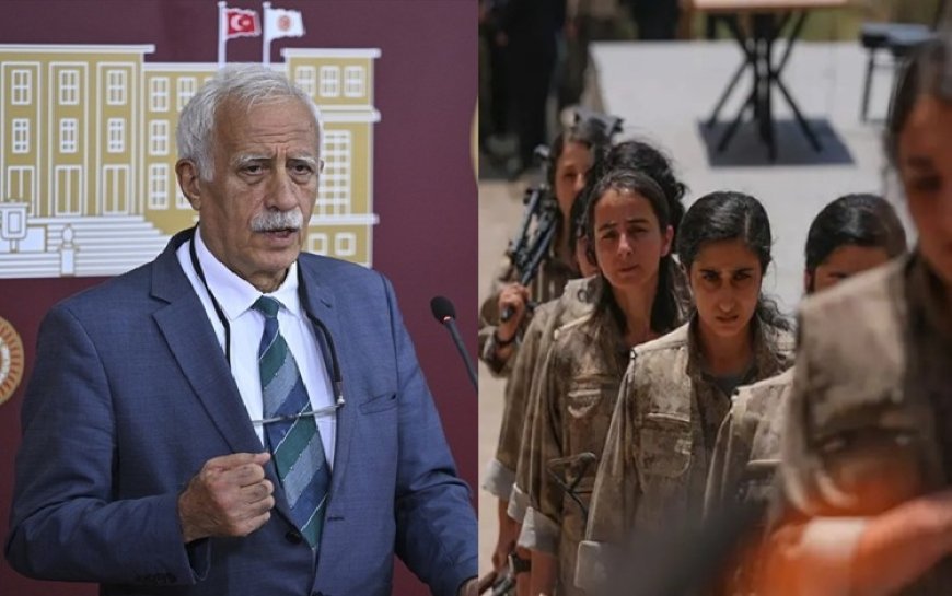 'Komisyon Öcalan'dan Rojava'da silah bırakılmasını isteyecek'