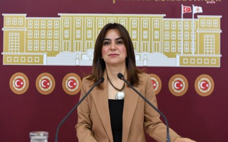 İmralı’ya giden DEM Parti Grup Başkanvekili Koçyiğit: Heyet olarak Komisyonu ilk elden bilgilendireceğiz