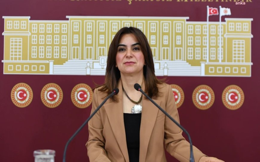 İmralı’ya giden DEM Parti Grup Başkanvekili Koçyiğit: Heyet olarak Komisyonu ilk elden bilgilendireceğiz