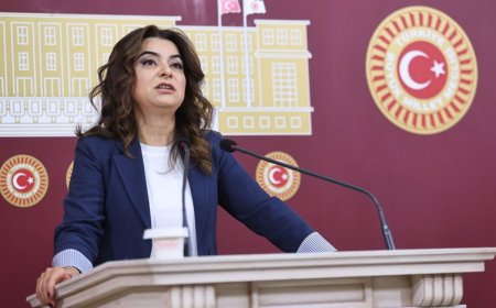 DEM Partili Koçyiğit, Öcalan ile yaptığı görüşmenin detaylarını paylaştı