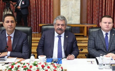 MHP 'süreç' raporunu Meclis'e sundu