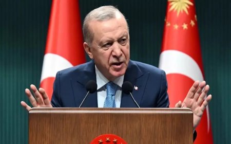 Erdoğan AİHM kararlarına uyma oranını açıkladı