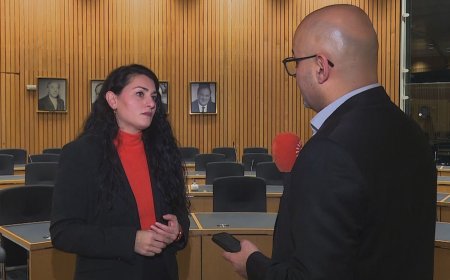 Alman vekil Lamya Kaddor: Suriye'de federalizm en iyi çözüm