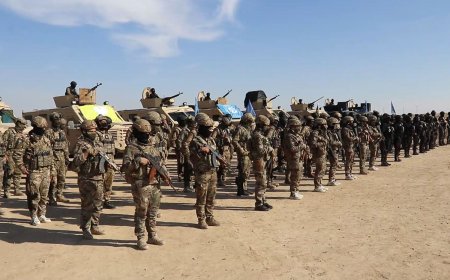 Şam Yönetiminden DSG'ye '3 birlik' için onay: Entegrasyon görüşmelerinde kritik viraj