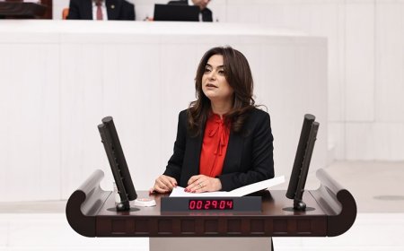 DEM Partili Koçyiğit: Çözümün adresi Meclis, aktörü Sayın Öcalan'dır