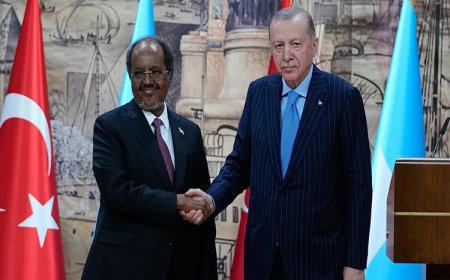 Erdoğan: 'İsrail'in Somaliland'ı tanıma kararı kabul edilemez'