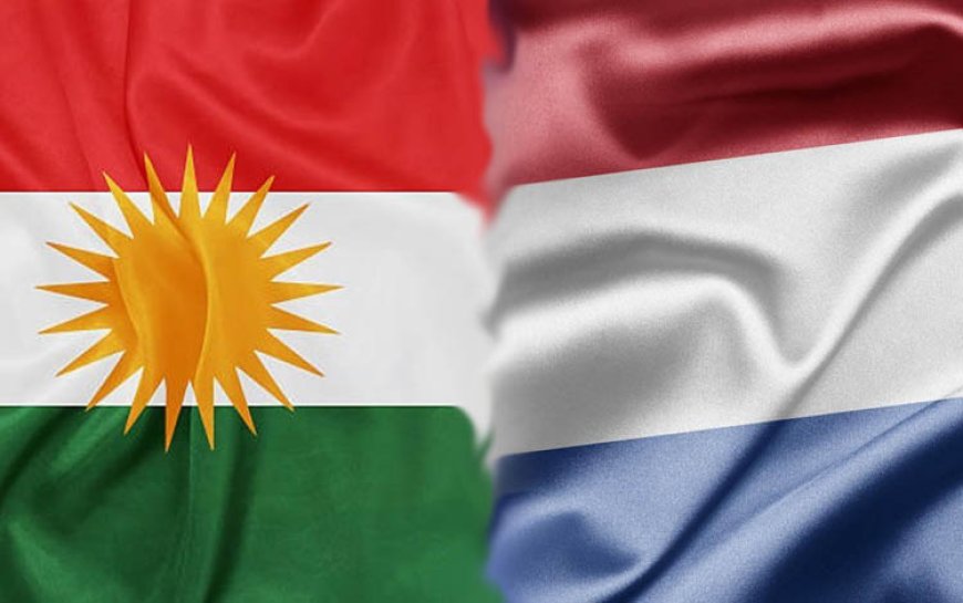 Hollanda: Kürdistan Bölgesi'ne desteğimiz sürecek