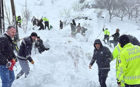 Van’da çığ felaketi: 22 ev boşaltıldı, kar altında kalan kadın hayatını kaybetti