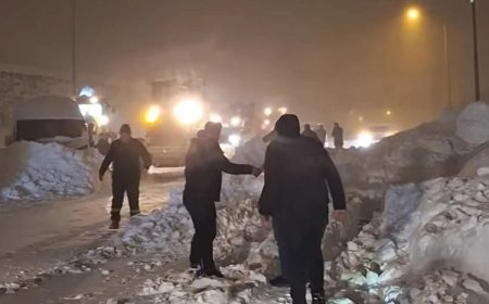 Bitlis'te çığ altında kalan 3 kişi kurtarıldı