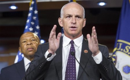 ABD Kongre Üyesi: Kürtlere yönelik tehditlere göz yummamalıyız