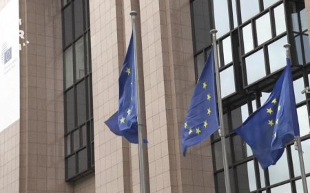 Avrupa Birliği, Şam yönetimine askeri faaliyetleri durdurma çağrısı yaptı