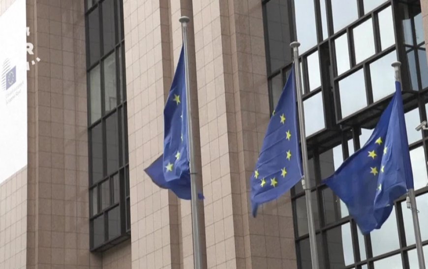 Avrupa Birliği, Şam yönetimine askeri faaliyetleri durdurma çağrısı yaptı