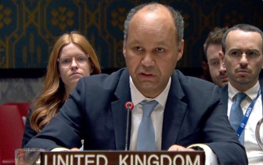 İngiltere’nin BM Temsilcisi’nden Sykes-Picot ve Kürtlerin statüsü sorularına yanıt