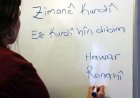 DILKURD’dan DEM Parti’ye açık mektup: ‘Kürtçe seçmeli dersler ana dilde eğitimin zemini olmalı’