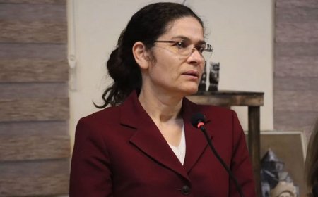 İlham Ahmed: Kürtlerin hakları resmi düzeyde tanınıyor, daha büyük kazanımlar elde edeceğiz