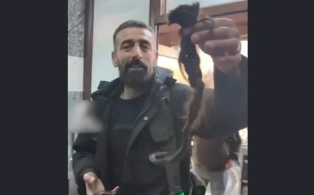 Der Spiegel'in iddiası Almanya'yı karıştırdı: Kürt diasporasından sert tepki