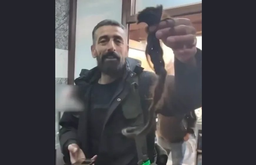 Der Spiegel'in iddiası Almanya'yı karıştırdı: Kürt diasporasından sert tepki