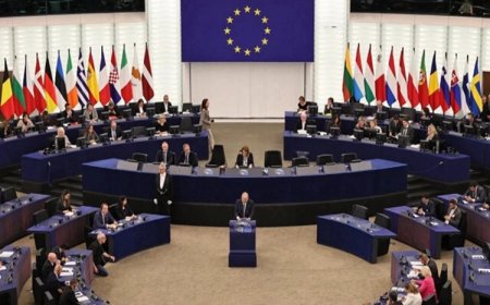 Avrupa Parlamentosu’nda Rojava oturumu: 'Takım elbiseli cihatçılık daha az ölümcül değil'