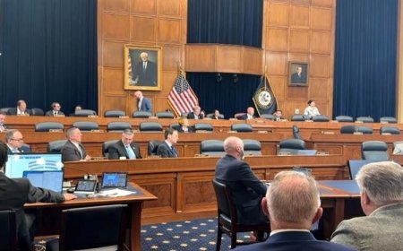 ABD Kongresi'nden 'Suriye' mesajı: Kürtlere yönelik şiddet durdurulmalı