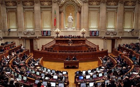 Portekiz Parlamentosu yarın Rojava gündemiyle toplanacak