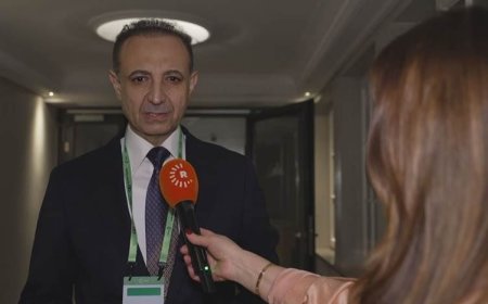 Dilşad Şehab: Dünya, Kürdistan Bölgesi’ni istikrar unsuru olarak görüyor