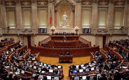 Portekiz Parlamentosu’ndan Rojava kararı: Kürt halkı korunmalı ve desteklenmeli