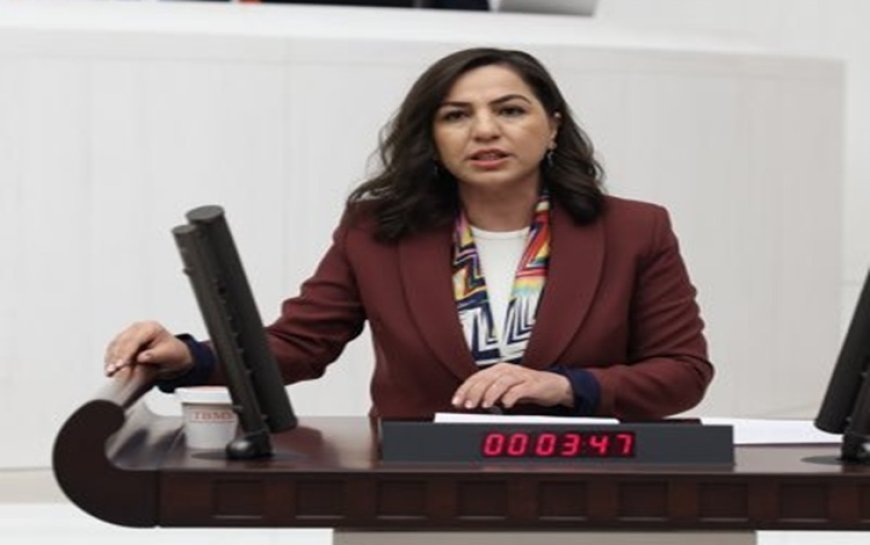 DEM Partili Gökalp: Kürtçe yazma eserler 'Arapça' diye tasnif ediliyor