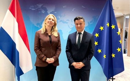 Kürdistan Bölgesi AB Temsilcisi Hollandalı yetkililerle görüştü: Suriye, Rojava ve Barzani'nin barış çabaları ele alındı