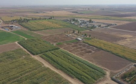 Kerkük'te Kürt ve Türkmenlere ait arazilerin sözleşmeleri iptal ediliyor