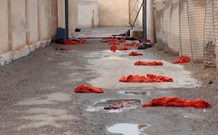 Türkiye vatandaşı IŞİD’liler iade ediliyor: Etkin yargılama yapılacak mı?