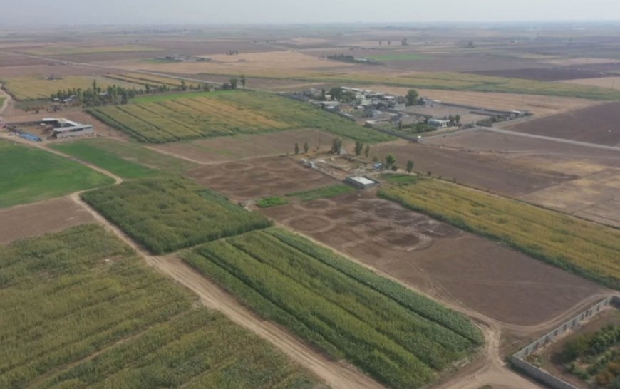 Kerkük'te Kürt ve Türkmenlere ait arazilerin sözleşmeleri iptal ediliyor