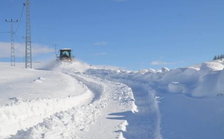 Van, Bitlis ve Muş’ta kar sebebiyle 187 yol kapandı