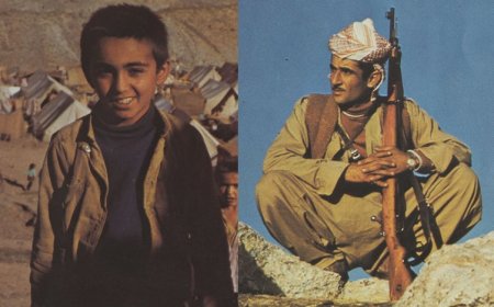 Peşmerge: ‘Biz kendi bağımsızlığımız için savaşıyoruz’