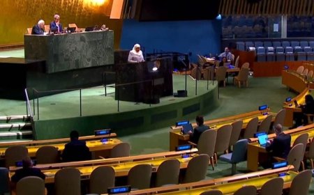 ABD, İslamofobiyle Mücadele Günü toplantısına katılmadı