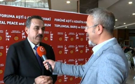 Vali Xoşnav: Erbil ile Diyarbakır arasında uçak seferleri başlamalı