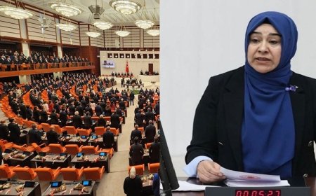 Kürtçe için TBMM’ye araştırma önergesi