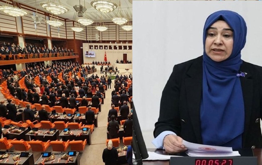 Kürtçe için TBMM’ye araştırma önergesi