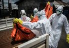 Ebola salgını: DSÖ küresel acil durum ilan etti