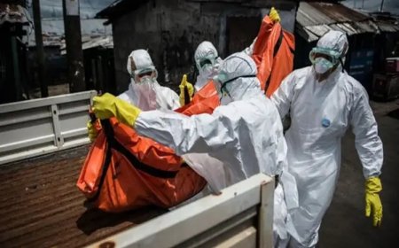 Ebola salgını: DSÖ küresel acil durum ilan etti