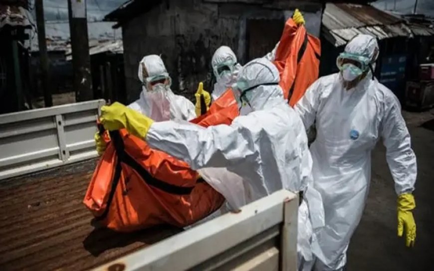 Ebola salgını: DSÖ küresel acil durum ilan etti