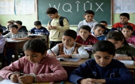 Eğitim Sen raporu: Anadilde eğitim eksikliği öğrenmeyi zorlaştırıyor