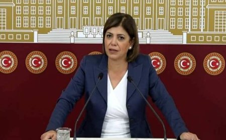 DEM Parti'li Beştaş’tan Rahmi Koç’a tepki: Irkçı ve cinsiyetçi yaklaşımı kınıyorum