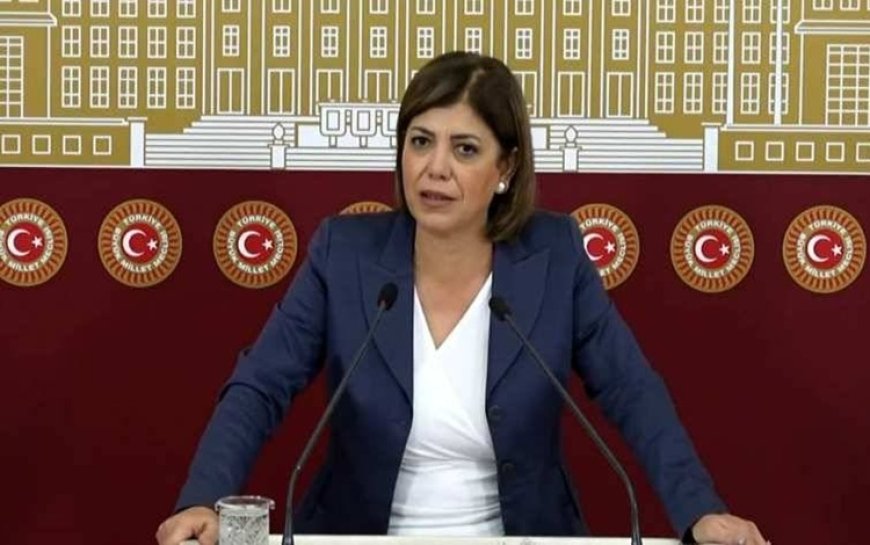 DEM Parti'li Beştaş’tan Rahmi Koç’a tepki: Irkçı ve cinsiyetçi yaklaşımı kınıyorum