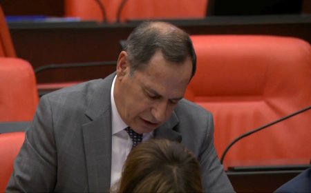DEM Parti Bitlis Milletvekili Hüseyin Olan Meclis’te konuştu: Korucular Hizan’da yüze yakın hayvanı katletti