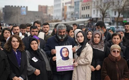 Van Barosu Rojin Kabaiş dosyasından çekildi