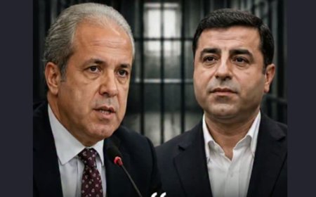 Şamil Tayyar'dan dikkat çeken Demirtaş iddiası: Erdoğan'la uzlaşmalıydık