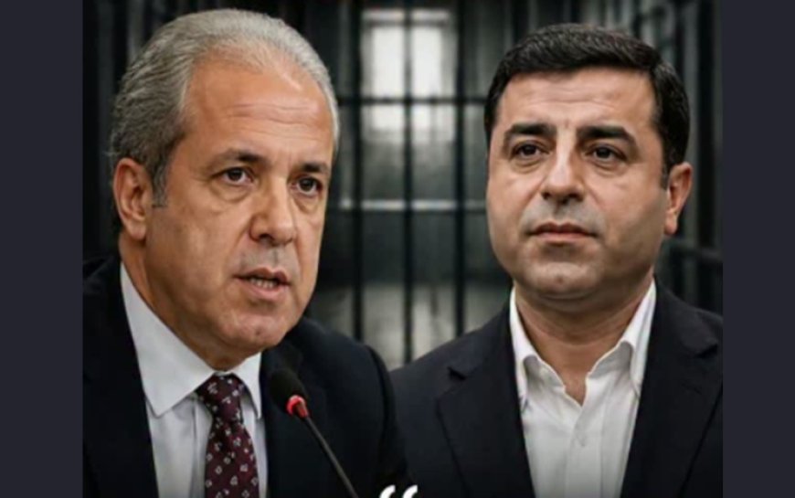 Şamil Tayyar'dan dikkat çeken Demirtaş iddiası: Erdoğan'la uzlaşmalıydık