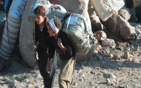 İran güçleri Merivan'da 18 yaşındaki Kürt kolberi öldürdü